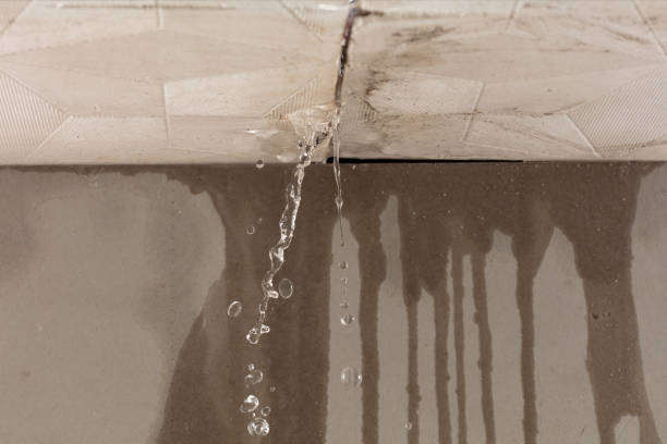 Professional Structural Drying technician working in Sebastopol, MS